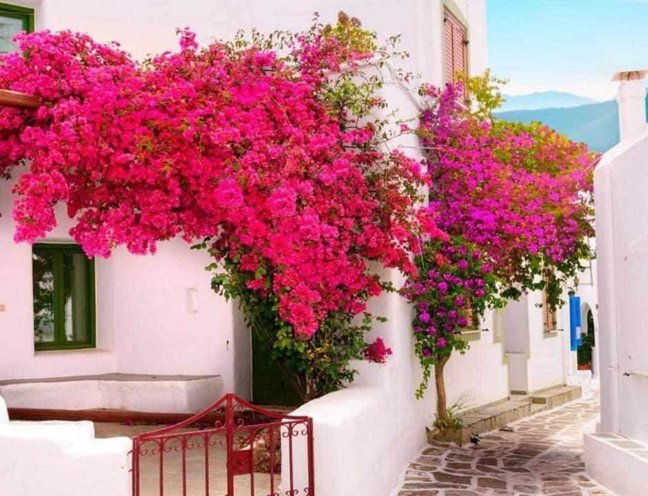 Nafpaktos Apartment And Studios In Port Exterior foto